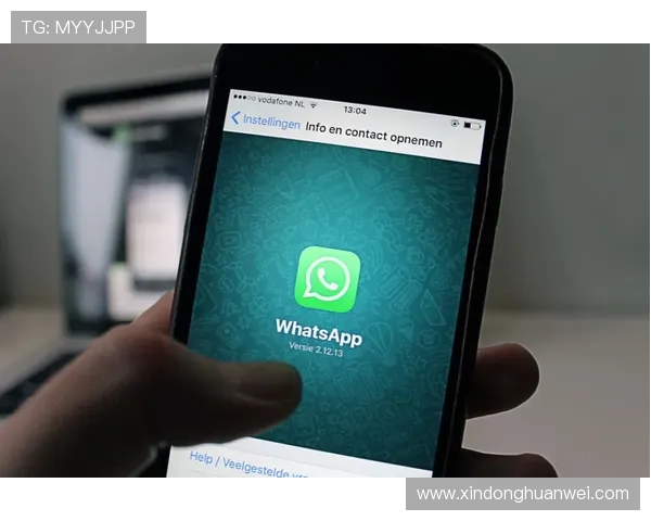 华体会APP手机登录失败原因分析及解决方案分享