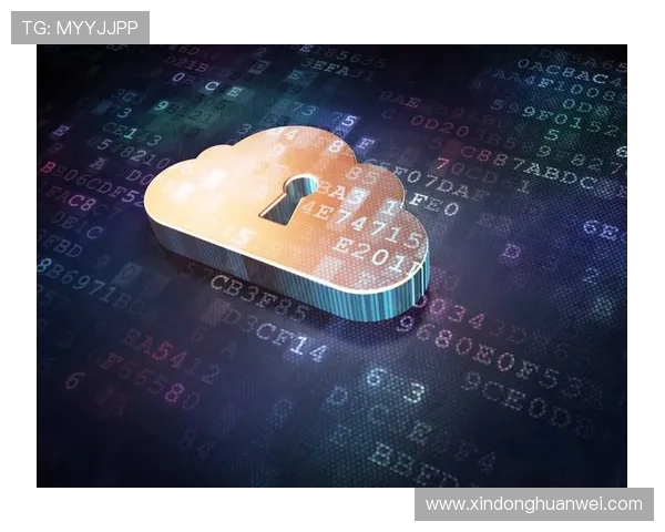 开云网址app手机登录与安全设置，保障你的账号信息安全