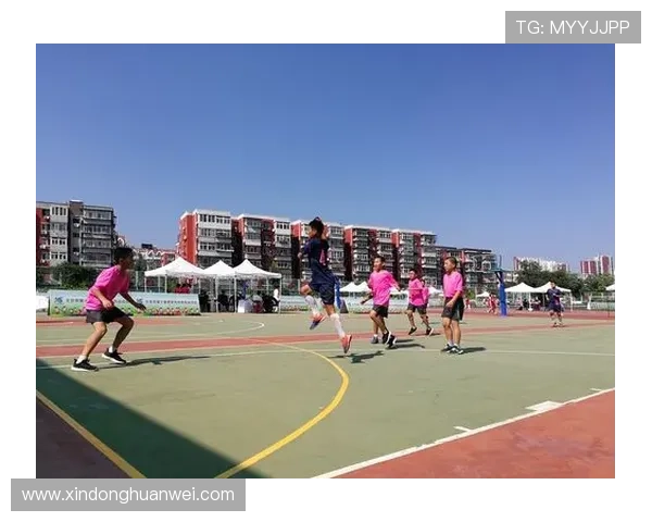 体育体会作文500字范文精选，涵盖不同运动项目的真实感受与心得体会