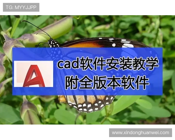 华体育app下载安装流程详解，帮助用户快速完成软件安装与注册体验