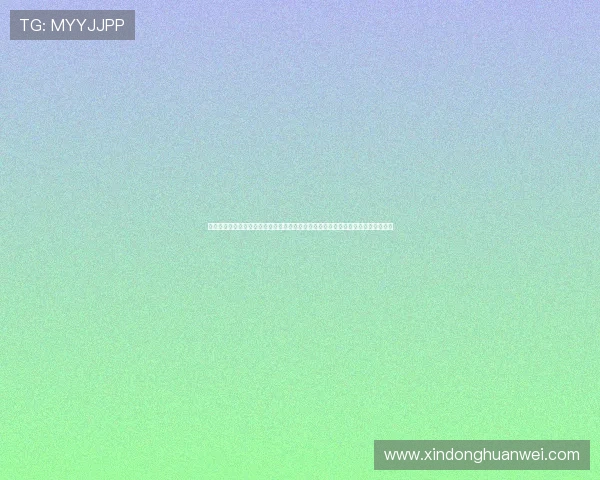 湖北华体体育集团深度解析世界杯赛程安排，助力球迷掌握最新比赛动态与精彩瞬间